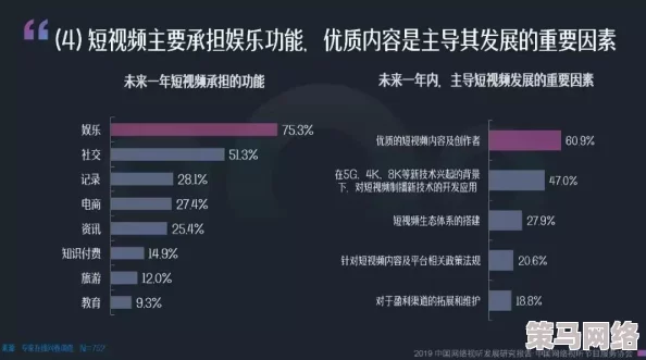 新91视频网站：全面解析新功能、用户体验升级及其对在线观看趋势的影响