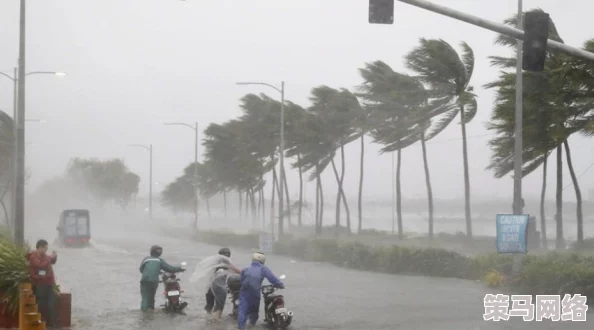 一晚上用了好几个雨伞，狂风暴雨来袭，市区多人被困，紧急撤离措施启动，影响交通和安全！