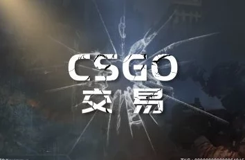 暴躁小朋友csgo：当游戏中的小玩家遇到挫折时，他们的反应和情绪如何影响游戏体验与团队合作？