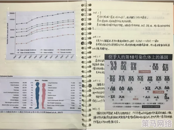 美国人与动物胶配方大全：最新研究揭示多种创新应用与环保替代品的潜力，推动行业发展