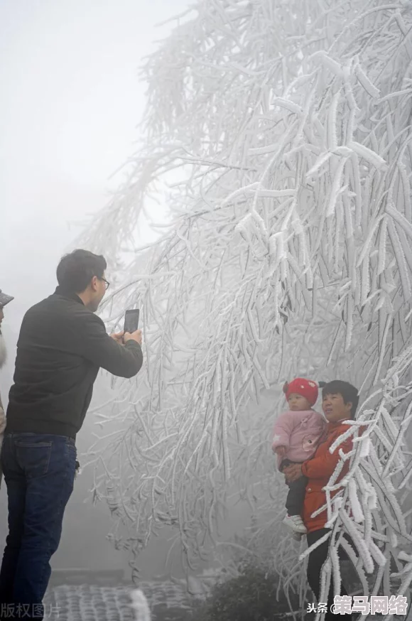 烈火如歌手游全地图探索：雪地河边位置一览及详细坐标介绍指南